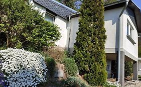 Ferienhaus In Pirna Mit Schoener Terrasse