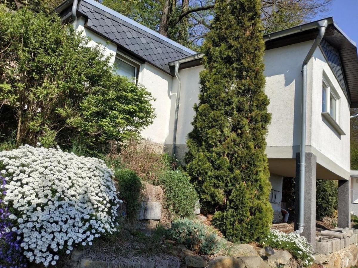 Villa Ferienhaus In Pirna Mit Schoner Terrasse Exterior foto